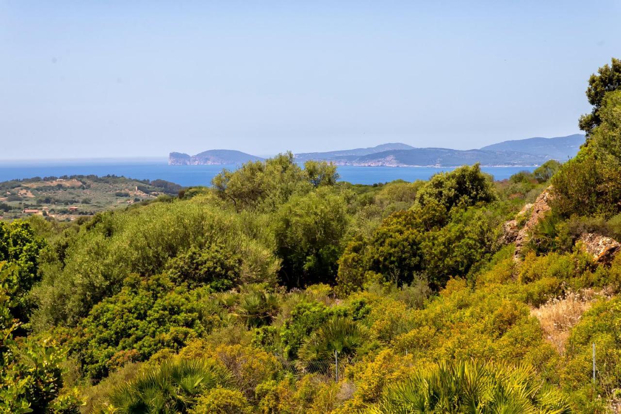 Sardinia Re - Villa Martin Panoramic View 알게로 외부 사진